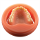 PoliDent PMMA disc Pink Denture Base